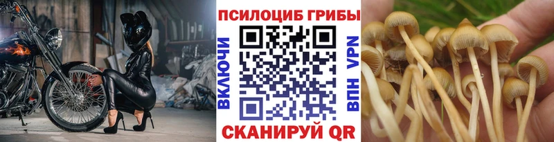 Галлюциногенные грибы GOLDEN TEACHER  Городец 